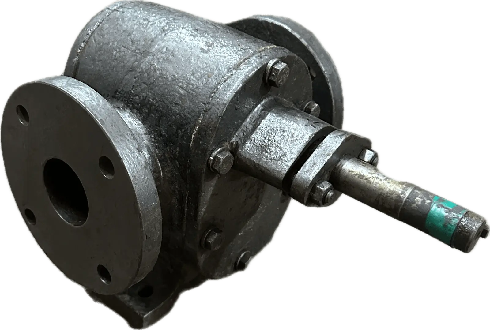 2 inch Helical gear pump