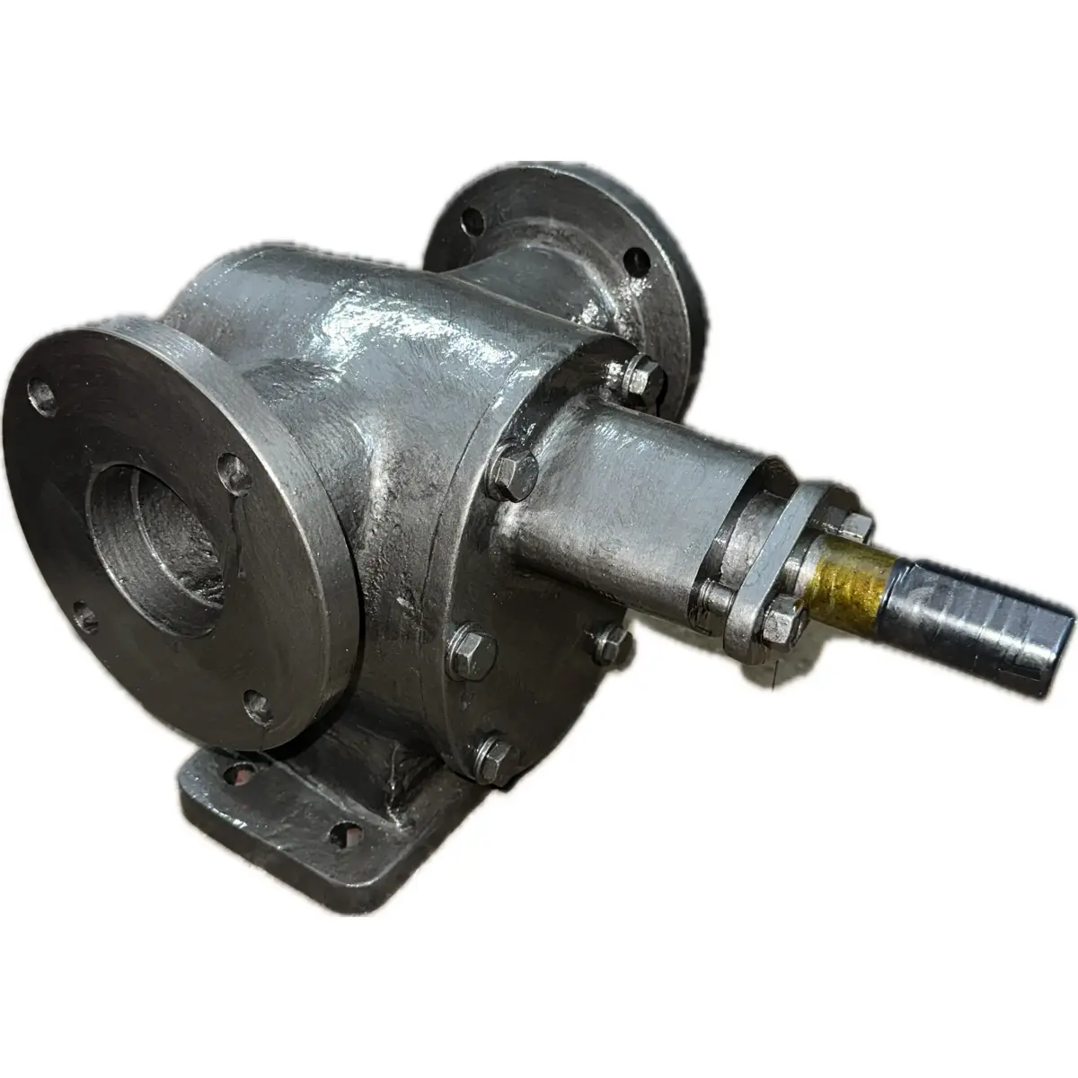 3 inch All bearing rotary gear pump