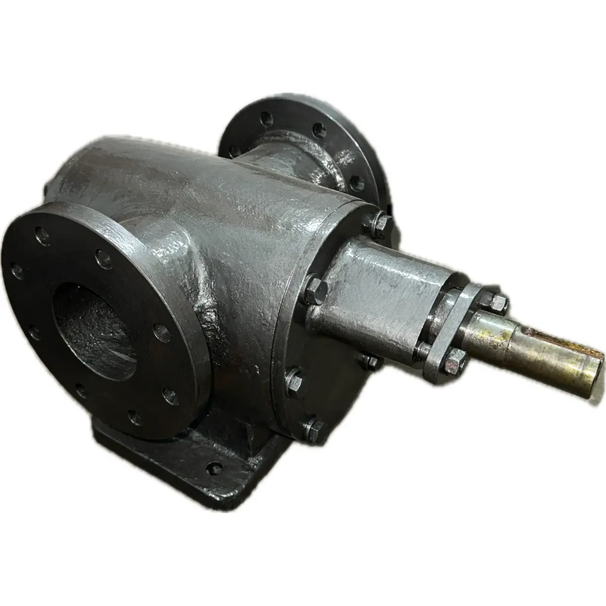 4 inch Rotary gear pump